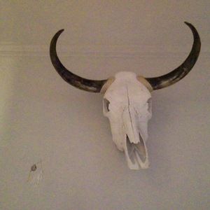 Meet your Posher, Holt